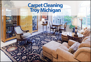 Carpet Cleaning Troy Michigan