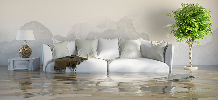 Basement Flood Clean Up and Repair Service